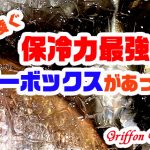 ダイワ・シマノを凌ぐ保冷力最強のクーラーボックスがあった!の巻