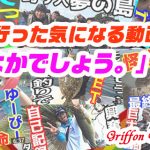 釣りに行った気になる動画。”釣りよかでしょう。”を紹介の巻