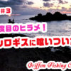 佐渡島遠征#3この旅3度目のヒラメ！釣ったシロギスに喰いついた！の巻