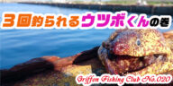 3回釣られるウツボくんの巻【釣行記】