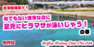 なんでもない漁港なのに足元にヒラマサが泳いじゃう！の巻【釣行記】