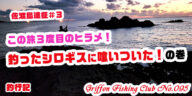 佐渡島遠征#3この旅3度目のヒラメ！釣ったシロギスに喰いついた！の巻